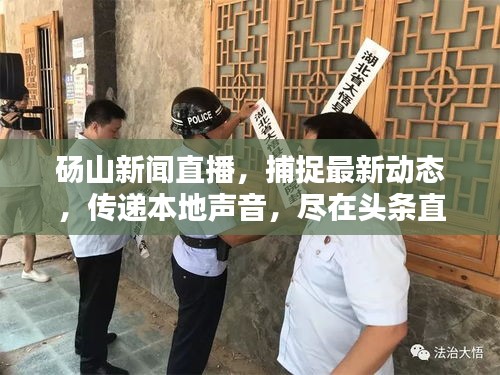 shanshishanzhong 第2页