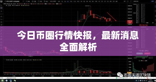 今日币圈行情快报，最新消息全面解析