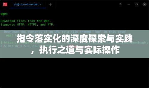 指令落实化的深度探索与实践，执行之道与实际操作