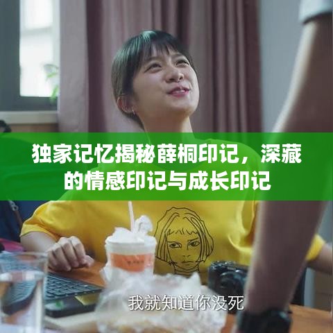 独家记忆揭秘薛桐印记，深藏的情感印记与成长印记