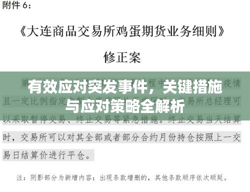 有效应对突发事件，关键措施与应对策略全解析