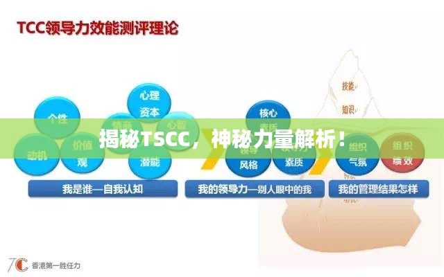 商品分类 第10页
