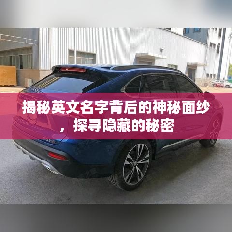 新闻 第5页