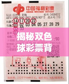 揭秘双色球彩票背后的秘密独家彩报！