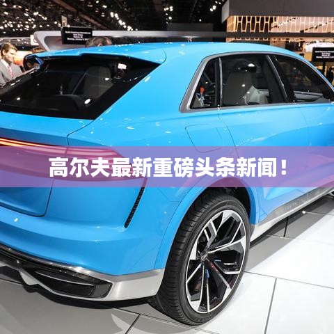 评价 第5页