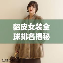 条款 第4页