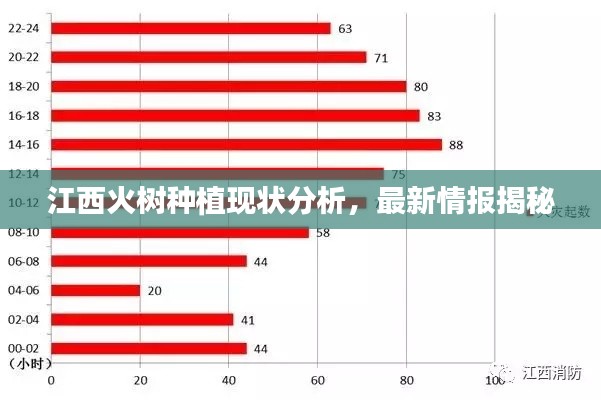 橘虞初梦