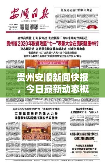 新闻