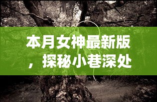 本月女神最新版，小巷深处的特色小店探秘