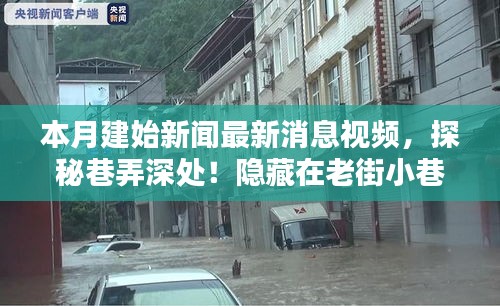 本月建始新闻独家揭秘，老街小巷中的特色小店，深度探索巷弄之美！