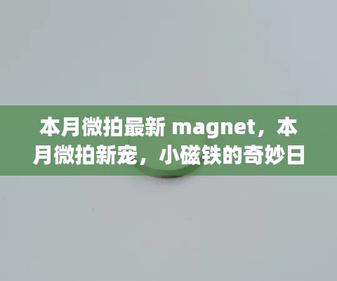 评价 第528页