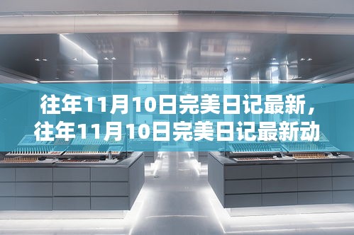 往年11月10日完美日记最新动态，时尚美妆界的璀璨瞬间回顾