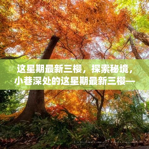 探索秘境，小巷深处的隐藏版美食天堂——最新三樱
