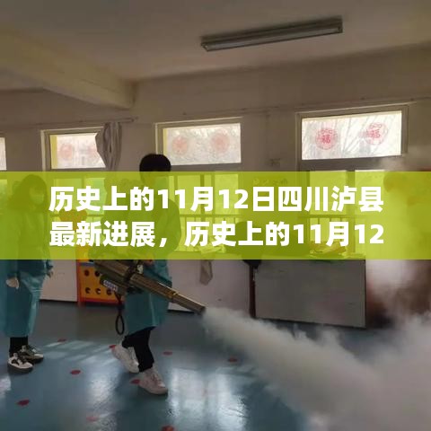 历史上的11月12日四川泸县事件最新进展及影响深度分析