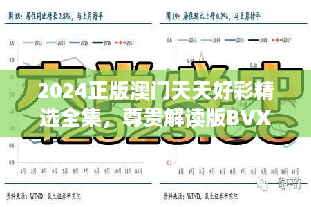 2024正版澳门天天好彩精选全集，尊贵解读版BVX868.32最佳推荐