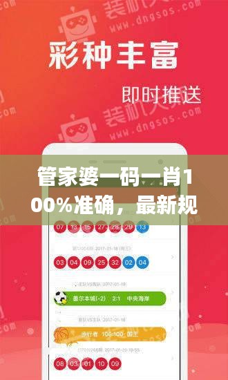 管家婆一码一肖100%准确，最新规则解析_DMX381.37未来版