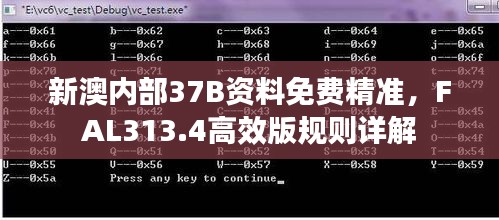 新澳内部37B资料免费精准，FAL313.4高效版规则详解
