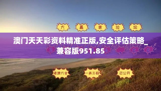 案例 第325页