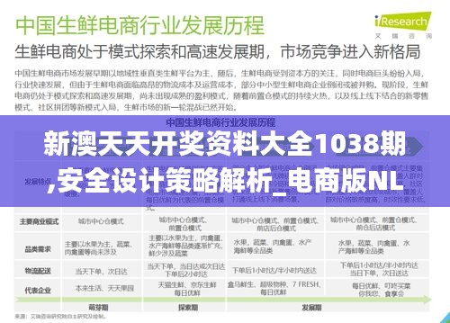 新澳天天开奖资料大全1038期,安全设计策略解析_电商版NLU155.73