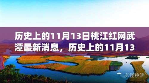 案例 第245页
