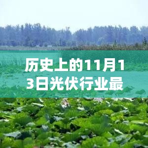 垂头丧气 第24页