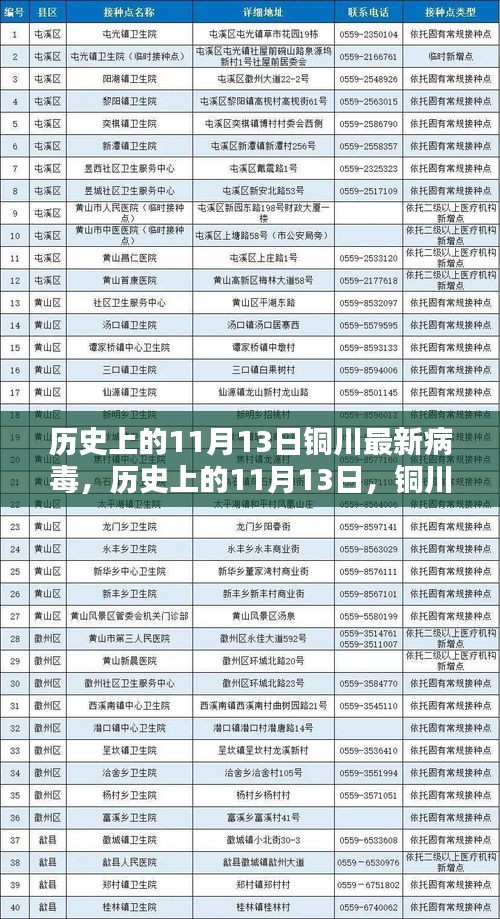铜川历史上的病毒挑战，揭秘铜川遭遇最新病毒事件在11月13日