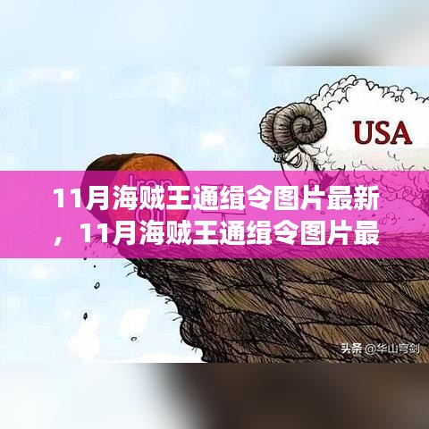 案例 第238页