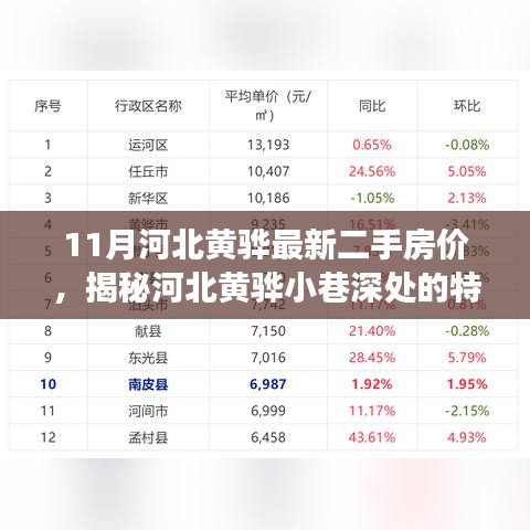 河北黄骅11月最新二手房价揭秘，特色小店与房价背后的故事
