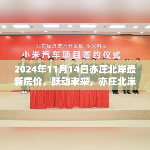跃动未来，亦庄北岸房价变迁背后的励志故事与梦想拥抱学习