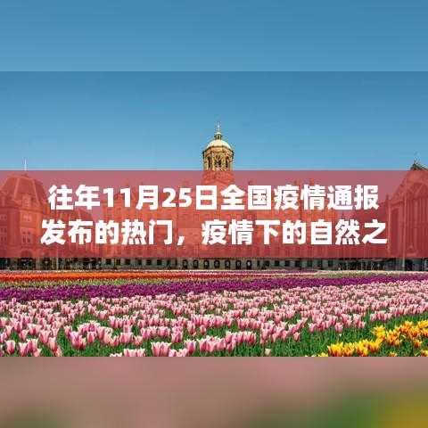 疫情下的自然之旅，寻找内心的宁静与美景的奇遇之旅——全国疫情通报背后的故事
