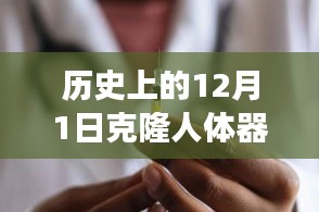 文质彬彬 第13页