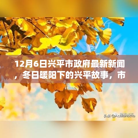 兴平市政府最新动态，冬日暖阳下的故事与情感纽带