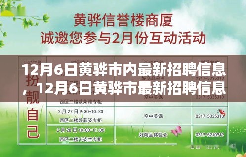 12月6日黄骅市最新招聘信息，就业选择中的机遇与挑战