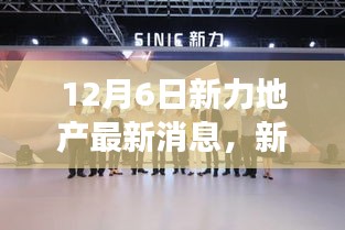 新力地产最新动态，深度解读三大要点更新
