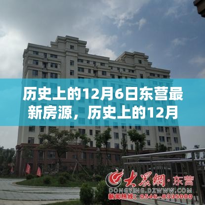 历史上的12月6日东营最新房源详解与全面评测