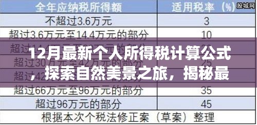 揭秘最新个人所得税计算公式，启程探索自然美景与内心平静之旅