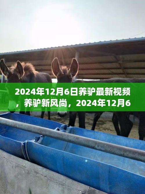 guiyinjianbi 第8页