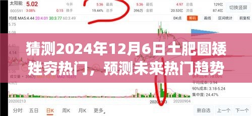 2024年土肥圆矮矬穷流行趋势猜测，详细指南与热门趋势展望