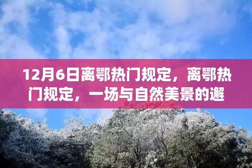 评价 第174页