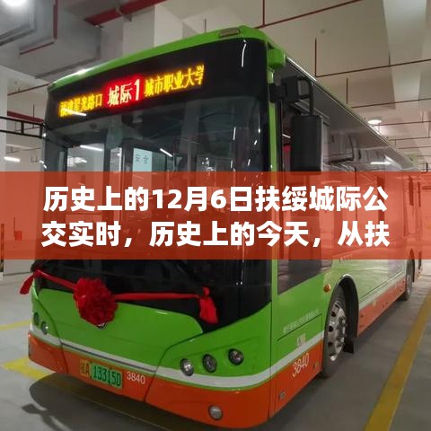 历史上的扶绥城际公交实时，见证变化的力量与自信之源