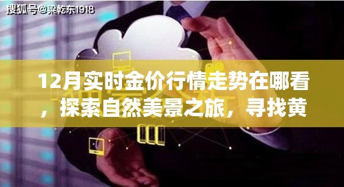 新闻 第153页