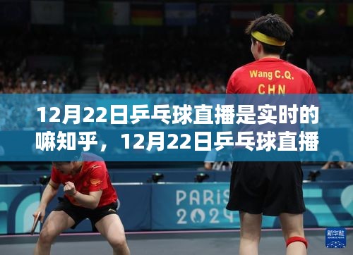 12月22日乒乓球直播，实时对决，热血时刻的热血瞬间回顾