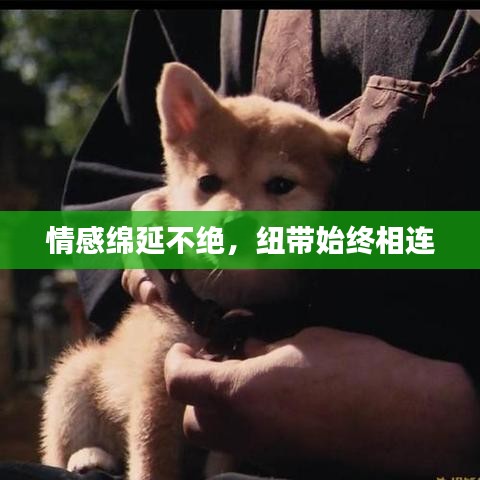情感绵延不绝，纽带始终相连