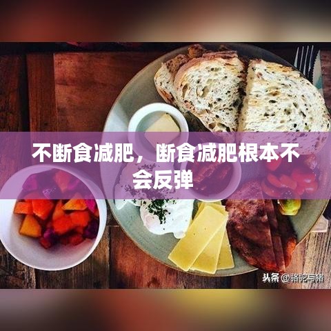 不断食减肥，断食减肥根本不会反弹 