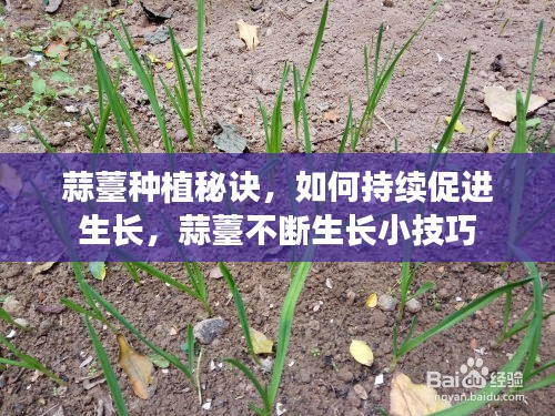 九死一生 第6页