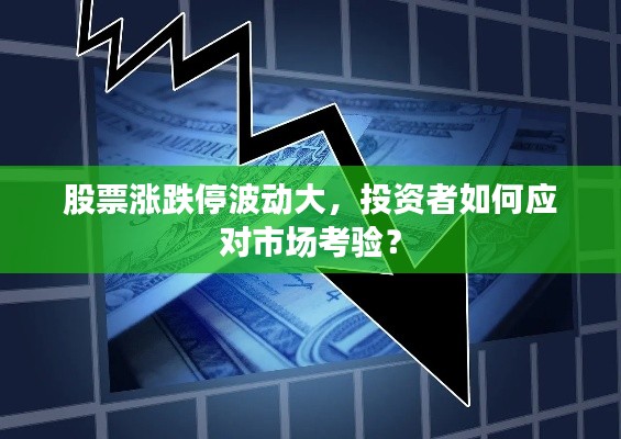 股票涨跌停波动大，投资者如何应对市场考验？