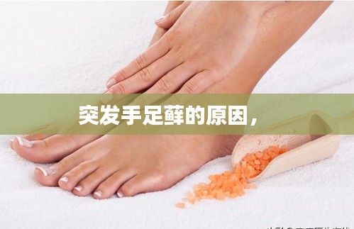 cuzhidaye 第6页