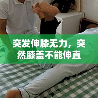 xiaoniaoyiren 第6页