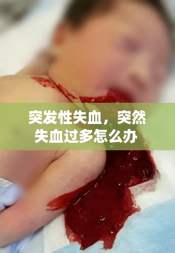 zhanchiyufei 第6页