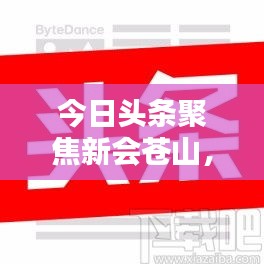 今日头条聚焦新会苍山，最新新闻报道汇总